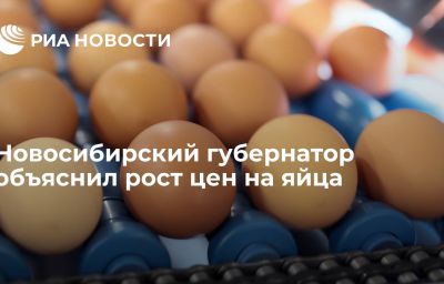 Новосибирский губернатор объяснил рост цен на яйца