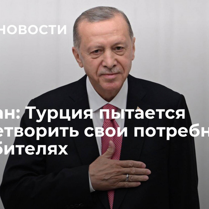 Эрдоган: Турция пытается удовлетворить свои потребности в истребителях