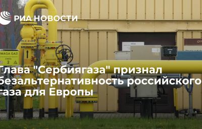 Глава "Сербиягаза" признал безальтернативность российского газа для Европы