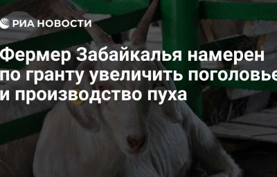 Фермер Забайкалья намерен по гранту увеличить поголовье и производство пуха