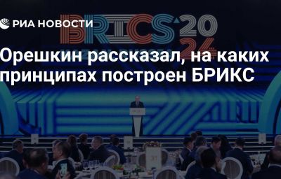 Орешкин рассказал, на каких принципах построен БРИКС