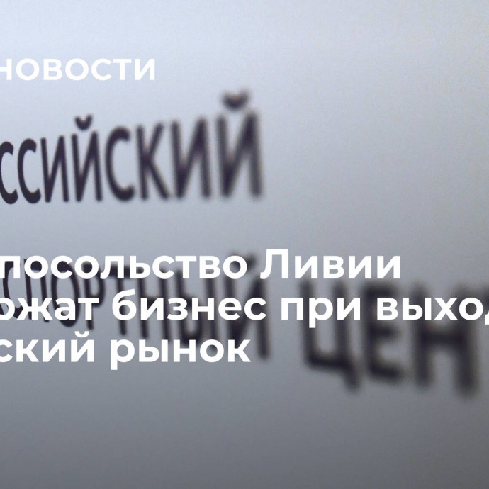 РЭЦ и посольство Ливии поддержат бизнес при выходе на ливийский рынок