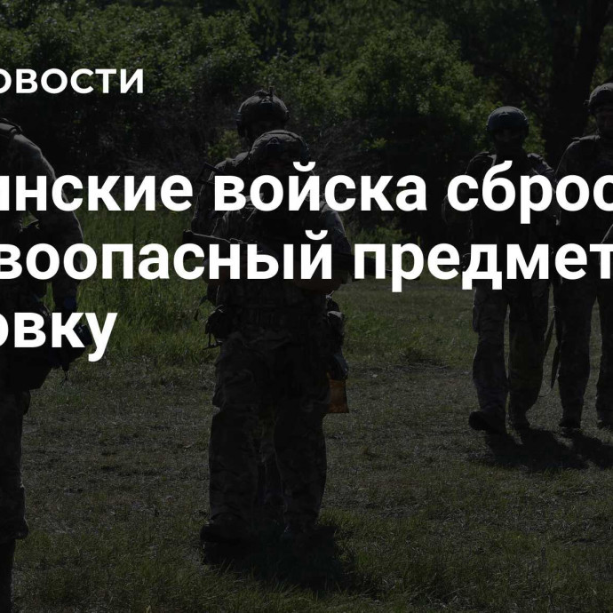 Украинские войска сбросили взрывоопасный предмет на Горловку