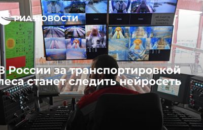 В России за транспортировкой леса станет следить нейросеть