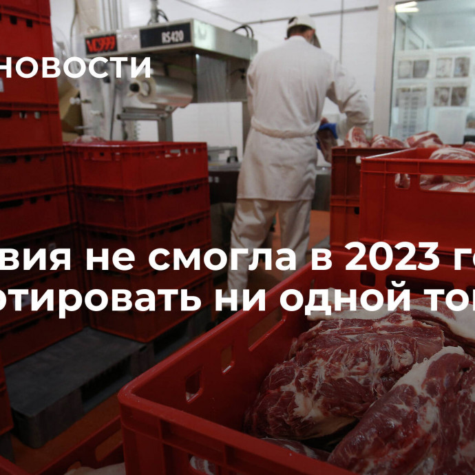 Молдавия не смогла в 2023 году экспортировать ни одной тонны мяса