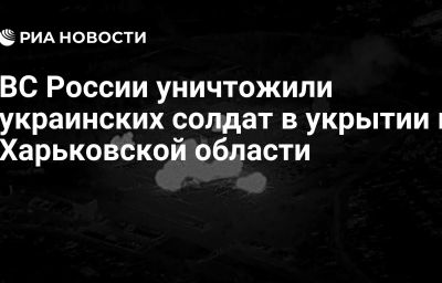 ВС России уничтожили украинских солдат в укрытии в Харьковской области