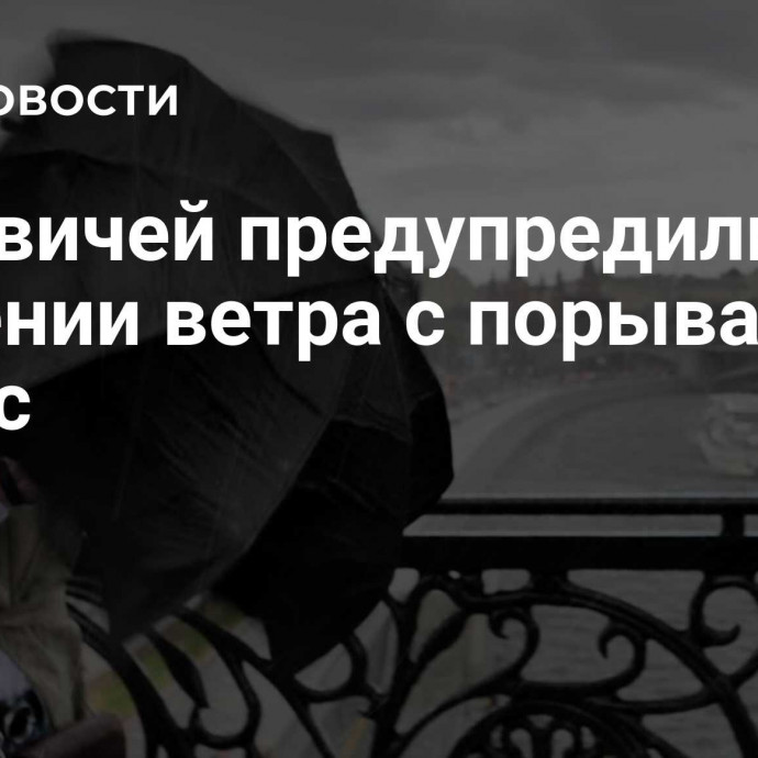 Москвичей предупредили об усилении ветра с порывами до 18 м/с