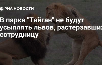 В парке "Тайган" не будут усыплять львов, растерзавших сотрудницу