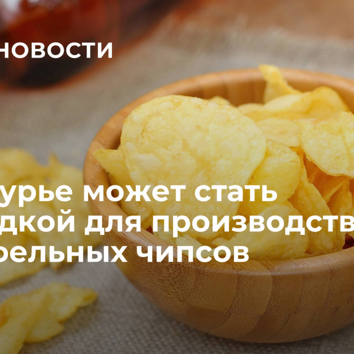 Приамурье может стать площадкой для производства картофельных чипсов