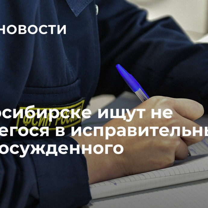 В Новосибирске ищут не явившегося в исправительный центр осужденного