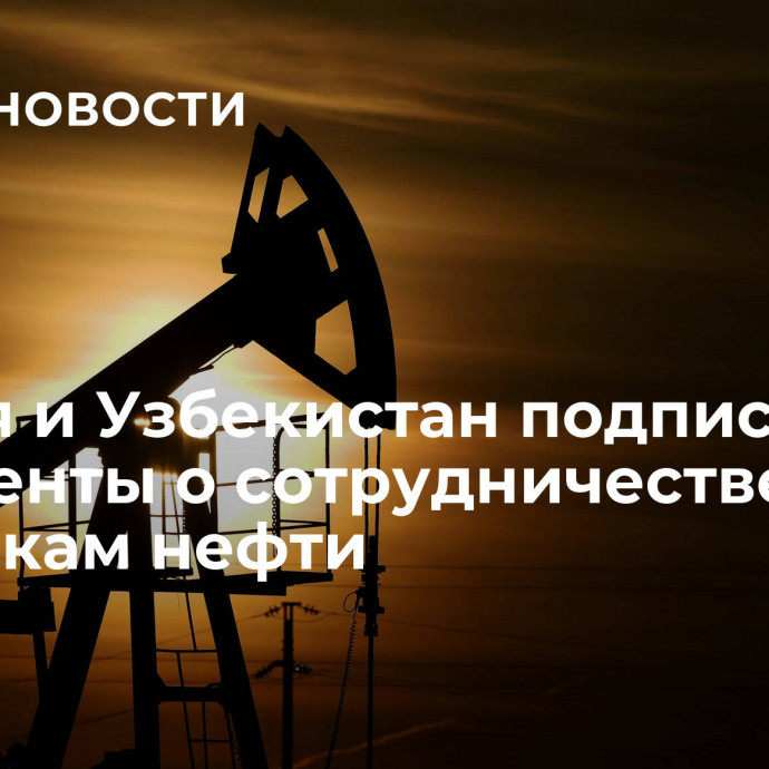 Россия и Узбекистан подписали документы о сотрудничестве по поставкам нефти