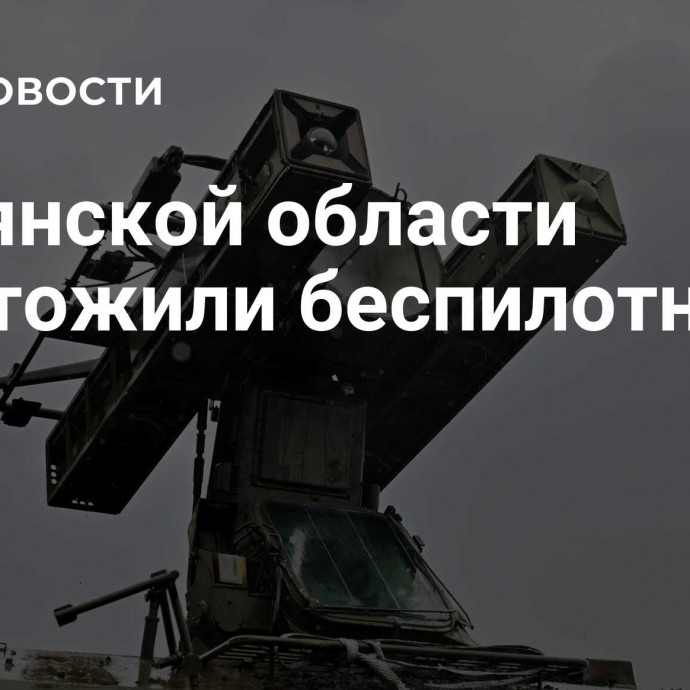 В Брянской области уничтожили беспилотник