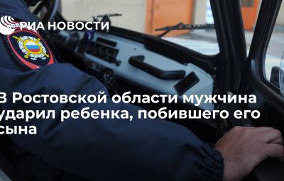 В Ростовской области мужчина ударил ребенка, побившего его сына