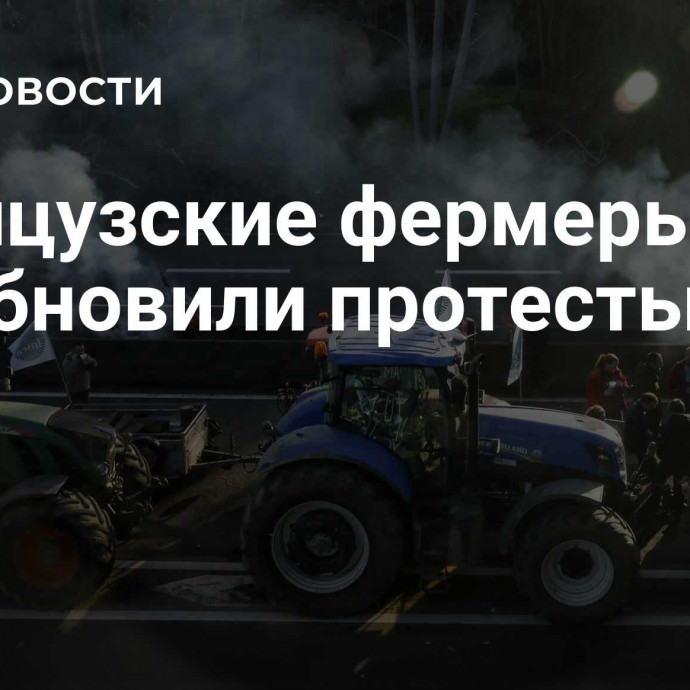 Французские фермеры возобновили протесты