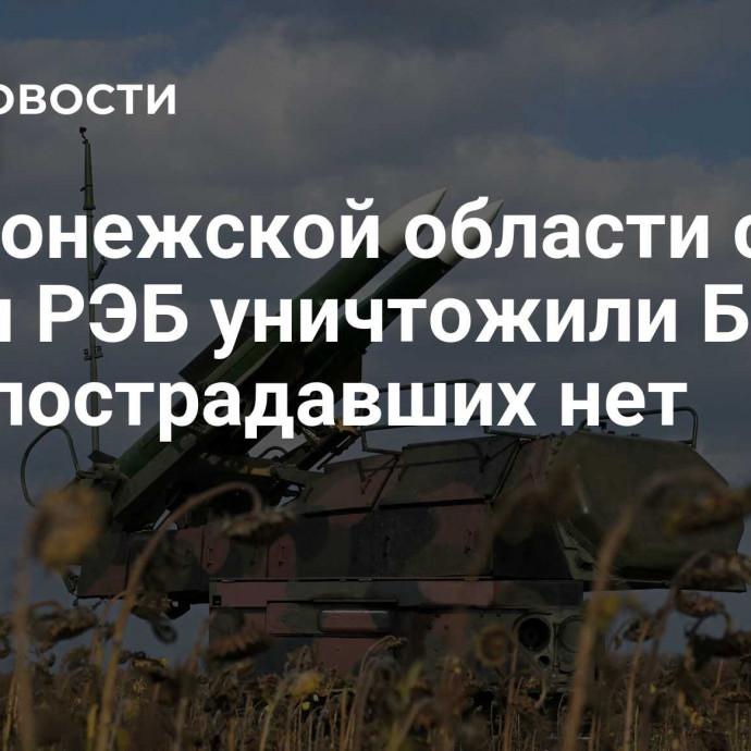 В Воронежской области силы ПВО и РЭБ уничтожили БПЛА ВСУ, пострадавших нет