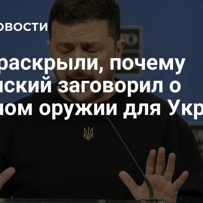 СМИ раскрыли, почему Зеленский заговорил о ядерном оружии для Украины