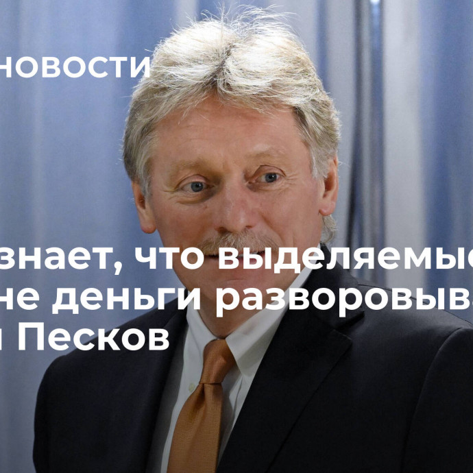 Запад знает, что выделяемые Украине деньги разворовываются, заявил Песков