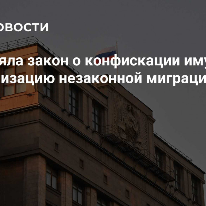 ГД приняла закон о конфискации имущества за организацию незаконной миграции