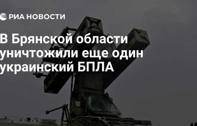 В Брянской области уничтожили еще один украинский БПЛА