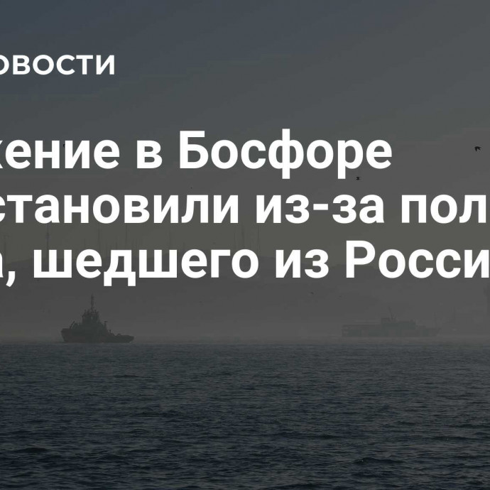 Движение в Босфоре приостановили из-за поломки судна, шедшего из России