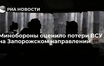 Минобороны оценило потери ВСУ на Запорожском направлении