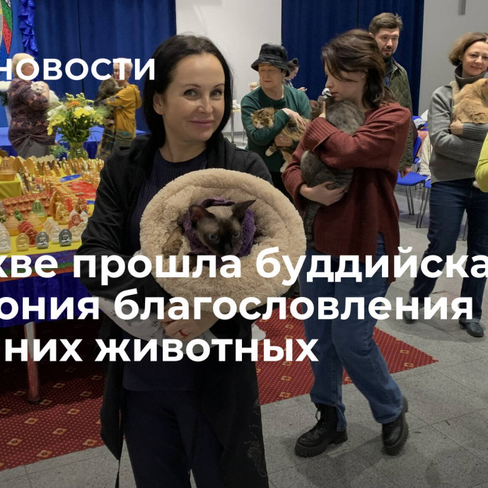 В Москве прошла буддийская церемония благословления домашних животных