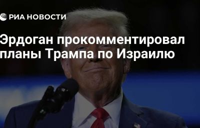 Эрдоган прокомментировал планы Трампа по Израилю