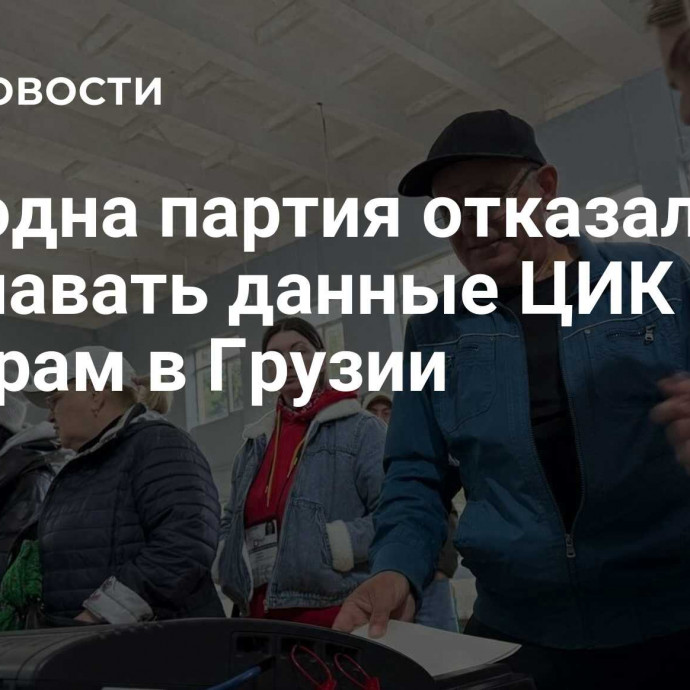 Еще одна партия отказалась признавать данные ЦИК по выборам в Грузии