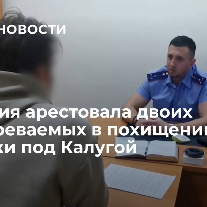 Полиция арестовала двоих подозреваемых в похищении девочки под Калугой