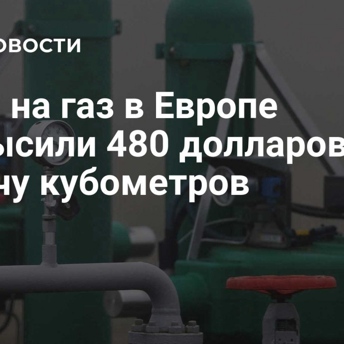 Цены на газ в Европе превысили 480 долларов за тысячу кубометров