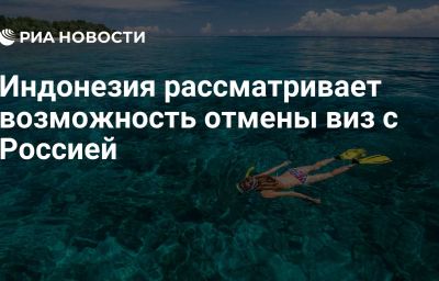 Индонезия рассматривает возможность отмены виз с Россией