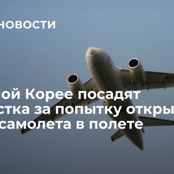 В Южной Корее посадят подростка за попытку открыть дверь самолета в полете