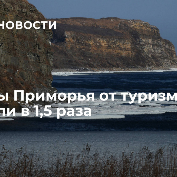 Доходы Приморья от туризма выросли в 1,5 раза