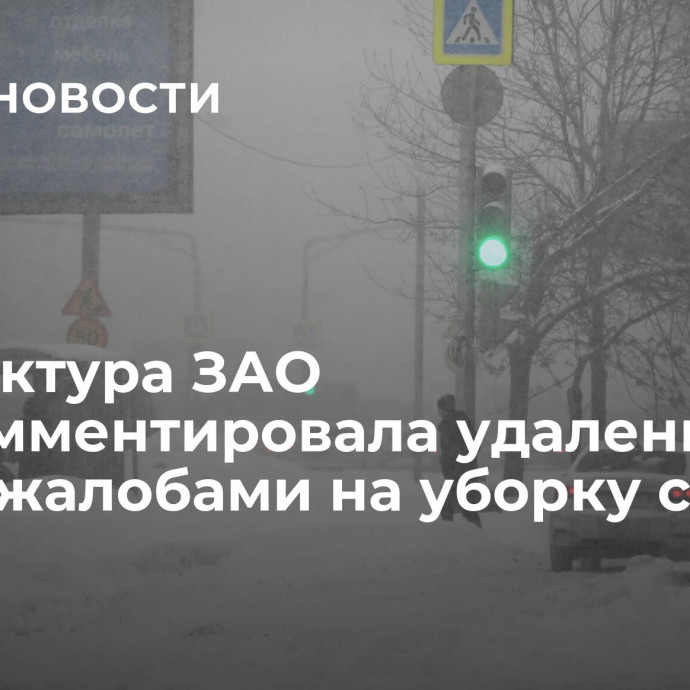 Префектура ЗАО прокомментировала удаление чата с жалобами на уборку снега