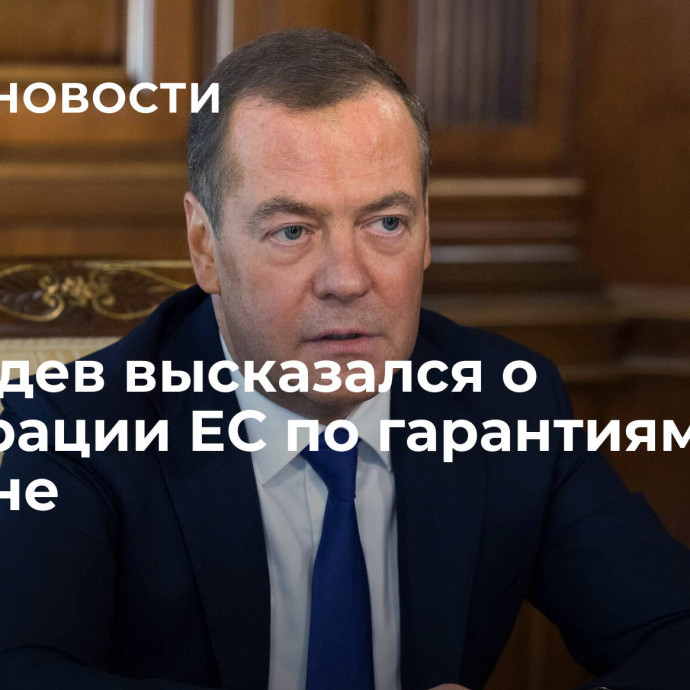 Медведев высказался о декларации ЕС по гарантиям Украине