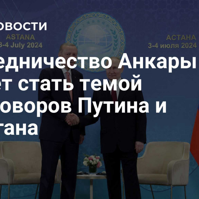 Посредничество Анкары может стать темой переговоров Путина и Эрдогана