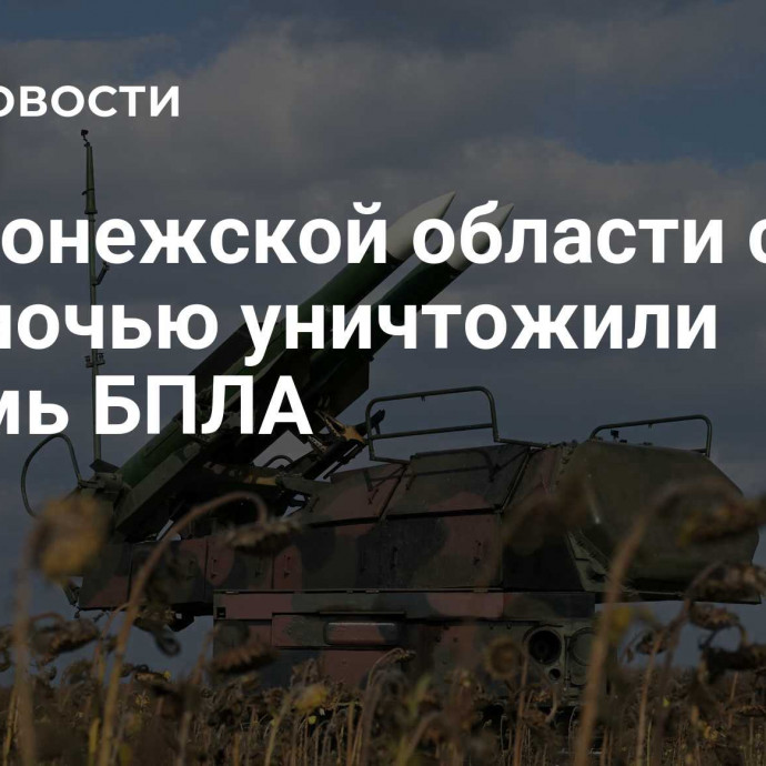 В Воронежской области силы ПВО ночью уничтожили восемь БПЛА