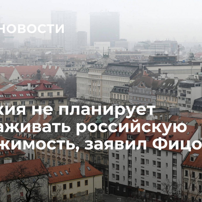 Словакия не планирует замораживать российскую недвижимость, заявил Фицо