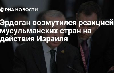 Эрдоган возмутился реакцией мусульманских стран на действия Израиля