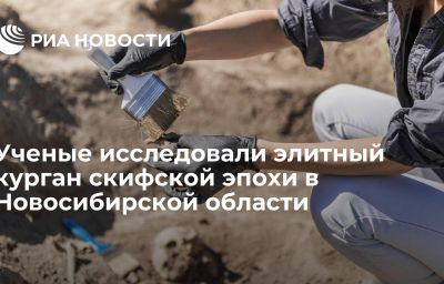 Ученые исследовали элитный курган скифской эпохи в Новосибирской области