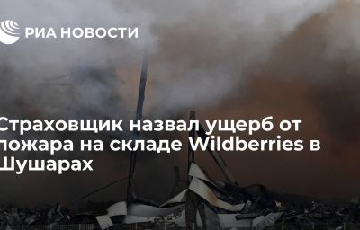 Страховщик назвал ущерб от пожара на складе Wildberries в Шушарах