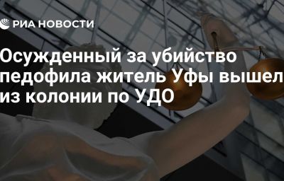 Осужденный за убийство педофила житель Уфы вышел из колонии по УДО