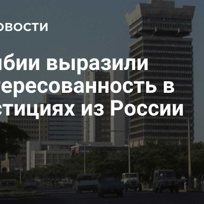 В Замбии выразили заинтересованность в инвестициях из России