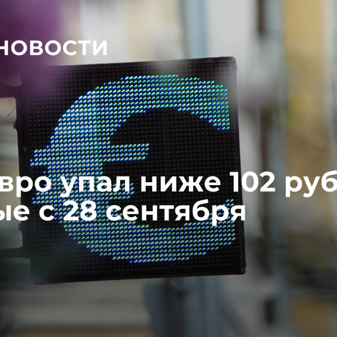 Курс евро упал ниже 102 рублей впервые с 28 сентября