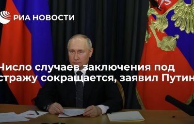 Число случаев заключения под стражу сокращается, заявил Путин