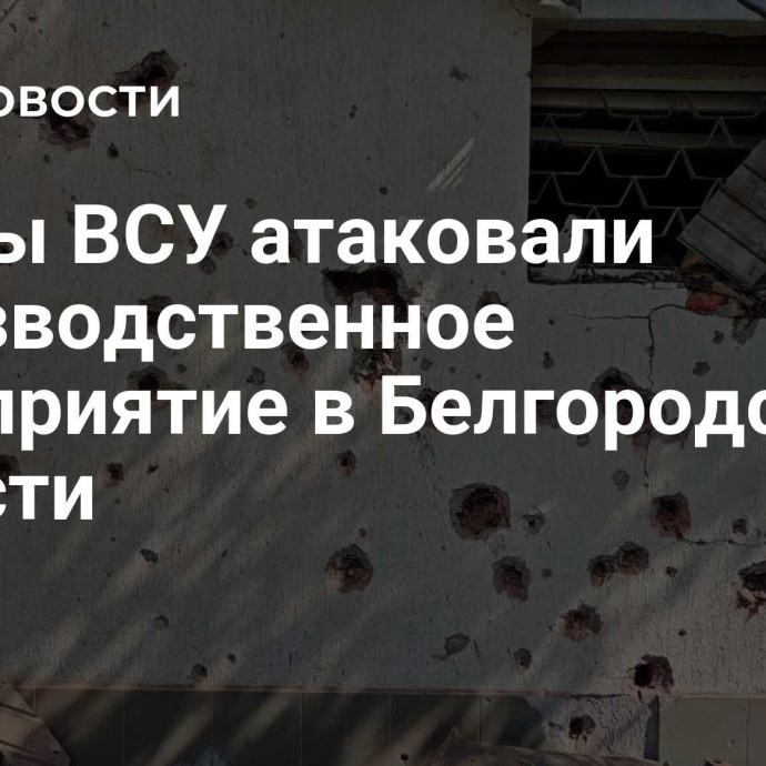 Дроны ВСУ атаковали производственное предприятие в Белгородской области