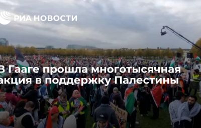 В Гааге прошла многотысячная акция в поддержку Палестины