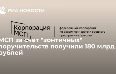 МСП за счет "зонтичных" поручительств получили 180 млрд рублей