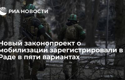 Новый законопроект о мобилизации зарегистрировали в Раде в пяти вариантах