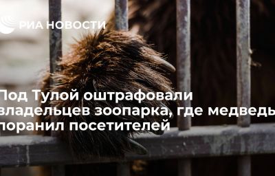 Под Тулой оштрафовали владельцев зоопарка, где медведь поранил посетителей